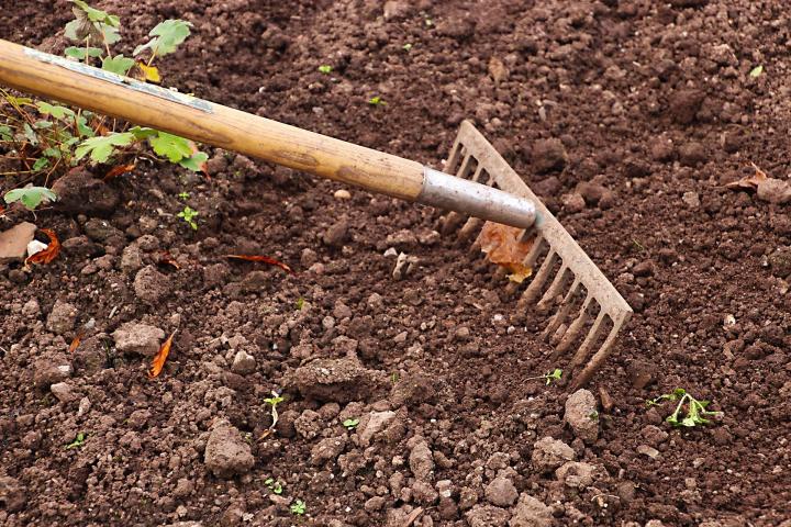 6_-_garden_rake_1_full_width.jpg